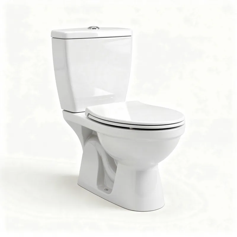 Remplacement de WC Champs-sur-Marne